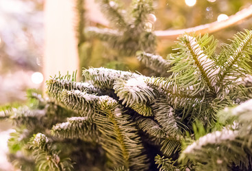 Similar image 16572003