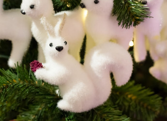 Similar image 16572004