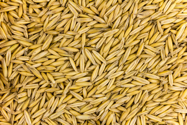 Similar image 16572005