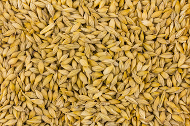 Similar image 16572006