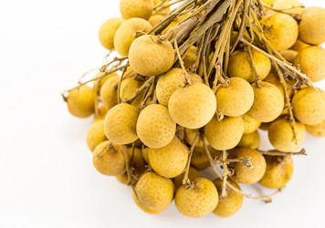 Similar image 16572369