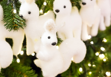 Similar image 16572073