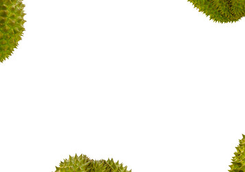 Similar image 16572489