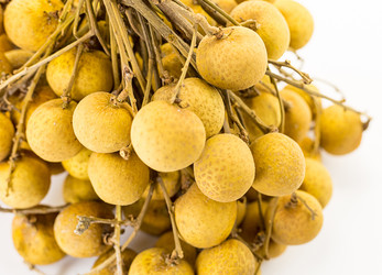 Similar image 16571858