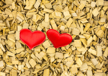 Similar image 16571974