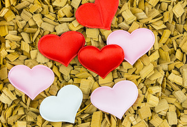 Similar image 16571975