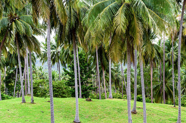 Similar image 16572015