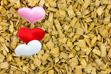 Similar image 16572031