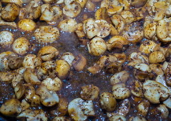 Similar image 16572075