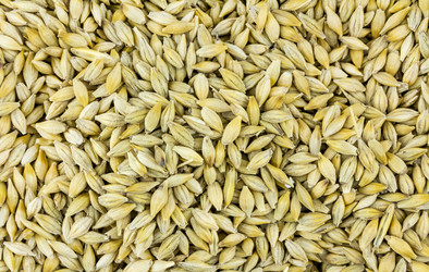 Similar image 16572349