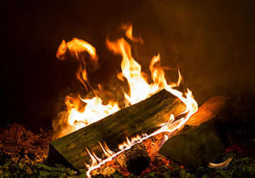 Similar image 16572472