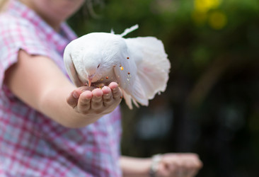 Similar image 16572473