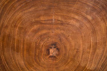 Similar image 16329319