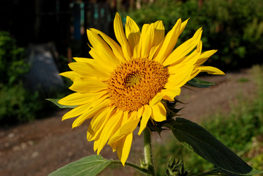 Similar image 16340326