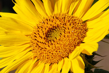 Similar image 16341189