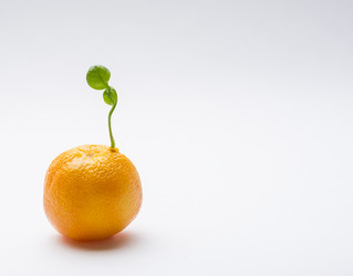 Similar image 16571560