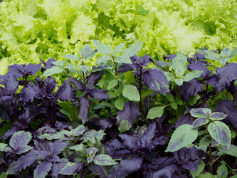 Similar image 16571956