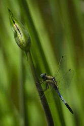 Similar image 16221603