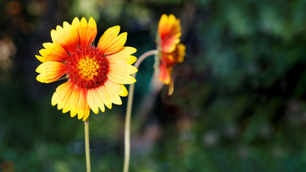 Similar image 16223050