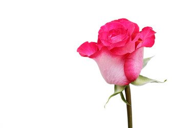 Similar image 16223051