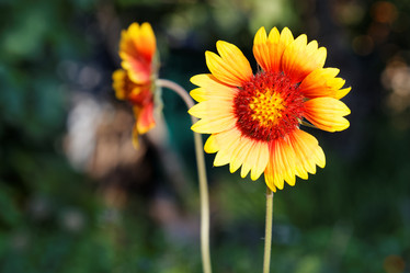 Similar image 16223052