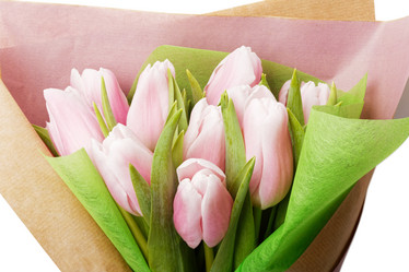 Similar image 16223053