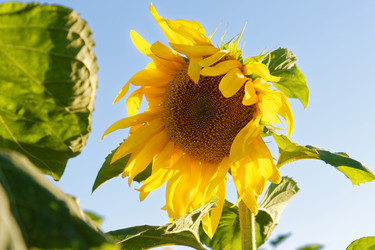 Similar image 16223056