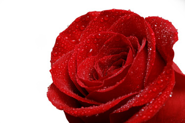 Similar image 16223060