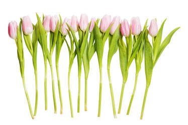 Similar image 16223061