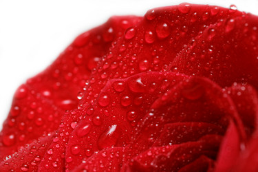 Similar image 16223064