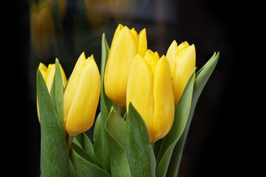 Similar image 16223068