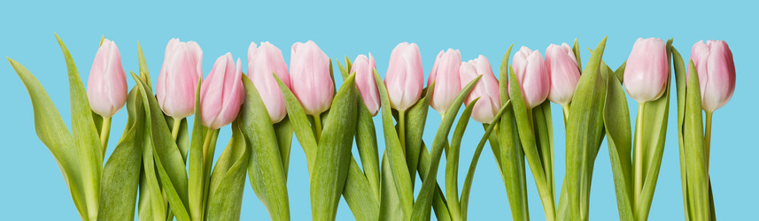 Similar image 16223072