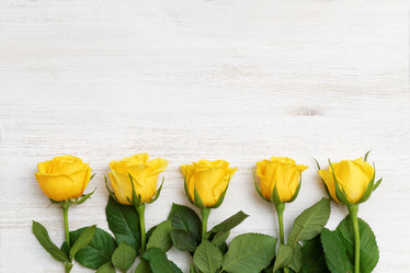 Similar image 16223074