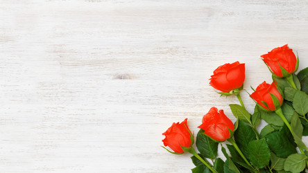 Similar image 16223076