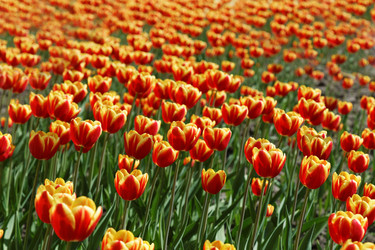 Similar image 16223078