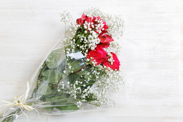 Similar image 16223082