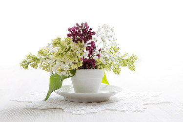 Similar image 16223097