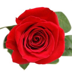 Similar image 16223103