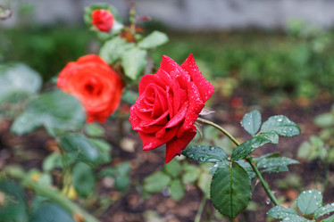 Similar image 16223112