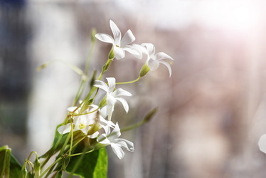 Similar image 16223093