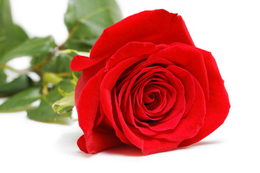 Similar image 16223098