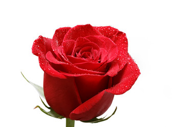 Similar image 16223099