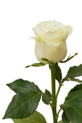 Similar image 16223101