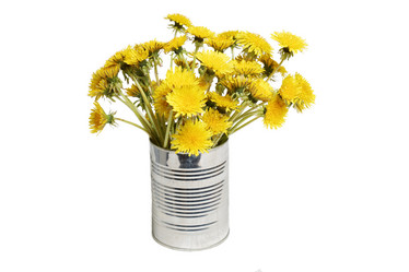 Similar image 16223102