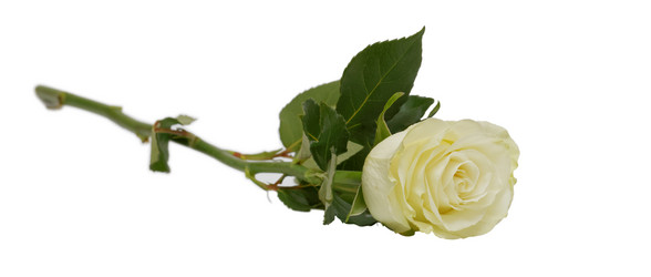 Similar image 16223106