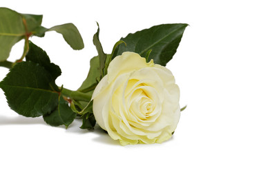 Similar image 16223108