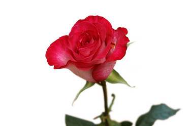 Similar image 16223120