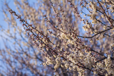 Similar image 16248359