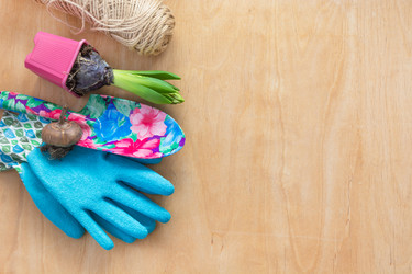 Similar image 16306562