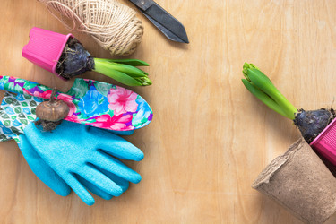 Similar image 16306608